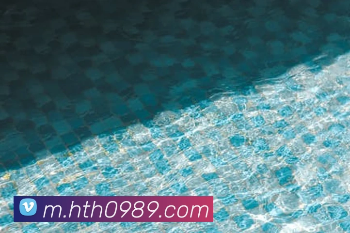 华体会平台生态图